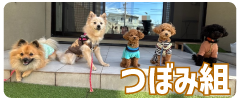 バナー