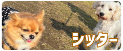 バナー