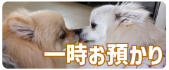 バナー